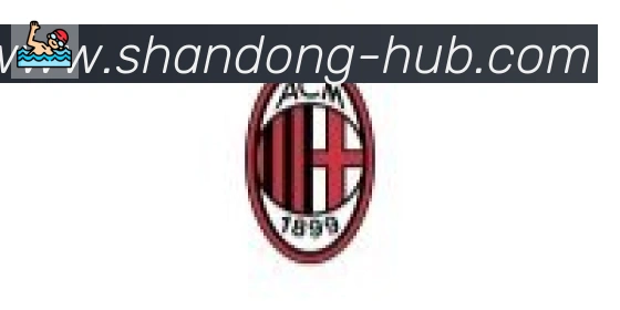山东体彩合作伙伴